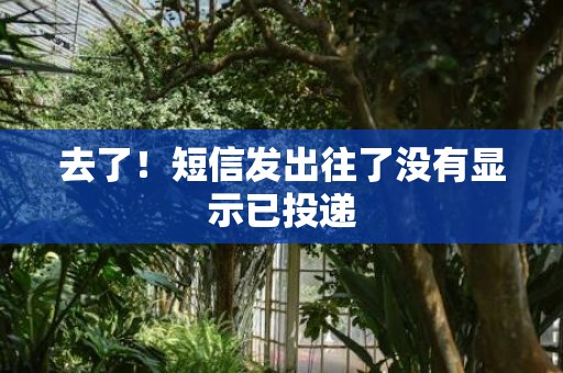 去了！短信发出往了没有显示已投递