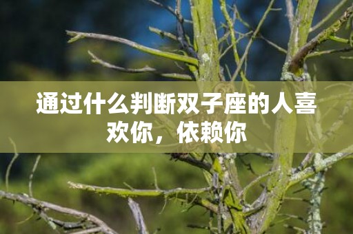 通过什么判断双子座的人喜欢你，依赖你