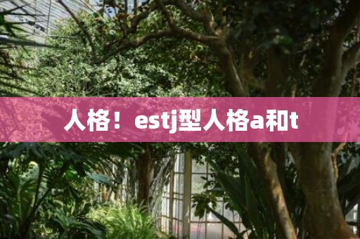 人格！estj型人格a和t