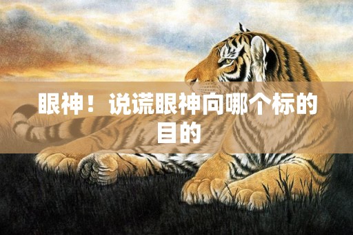 眼神！说谎眼神向哪个标的目的