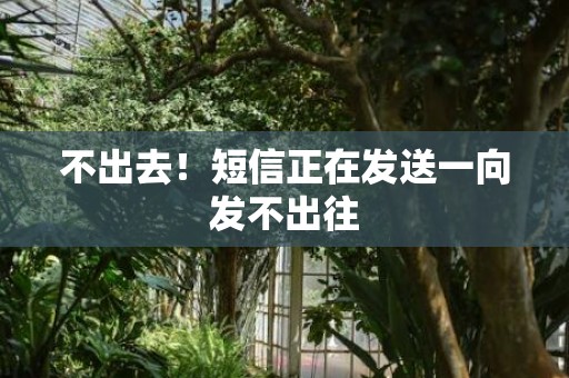 不出去！短信正在发送一向发不出往