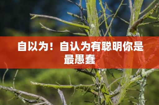 自以为！自认为有聪明你是最愚蠢