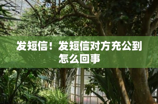发短信！发短信对方充公到怎么回事
