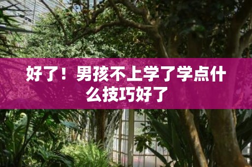 好了！男孩不上学了学点什么技巧好了