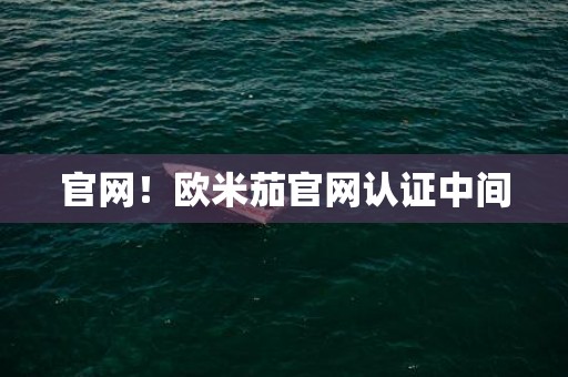 官网！欧米茄官网认证中间