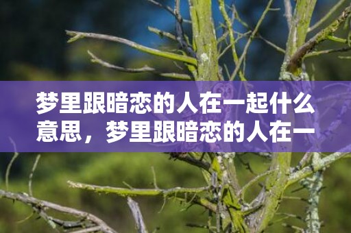 梦里跟暗恋的人在一起什么意思，梦里跟暗恋的人在一起