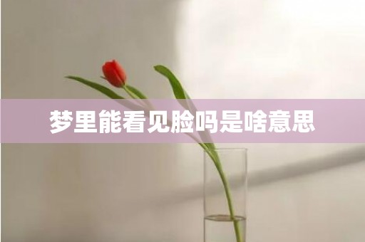 梦里能看见脸吗是啥意思