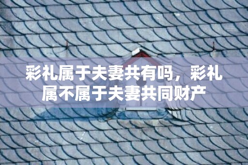 彩礼属于夫妻共有吗，彩礼属不属于夫妻共同财产