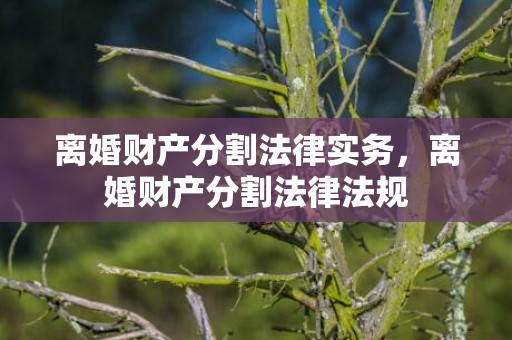 离婚财产分割法律实务，离婚财产分割法律法规