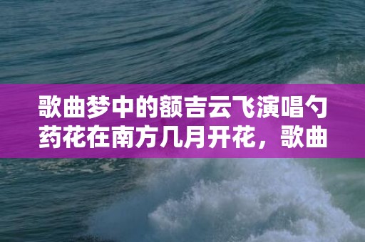 歌曲梦中的额吉云飞演唱勺药花在南方几月开花，歌曲梦中的额吉云飞演唱