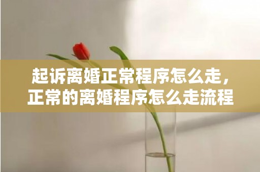 起诉离婚正常程序怎么走，正常的离婚程序怎么走流程