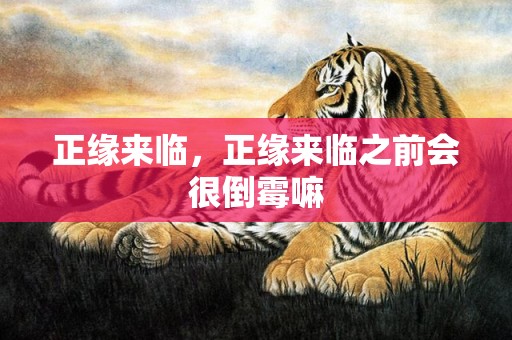 正缘来临，正缘来临之前会很倒霉嘛