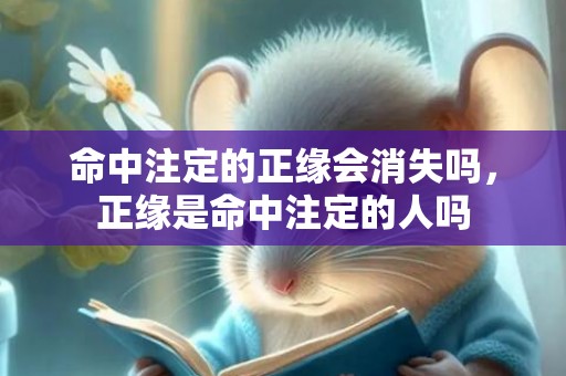 命中注定的正缘会消失吗，正缘是命中注定的人吗