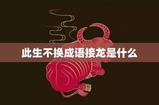 此生不换成语接龙是什么