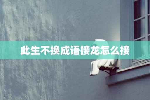 此生不换成语接龙怎么接