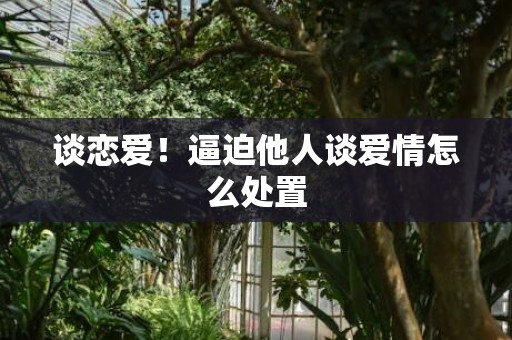 谈恋爱！逼迫他人谈爱情怎么处置