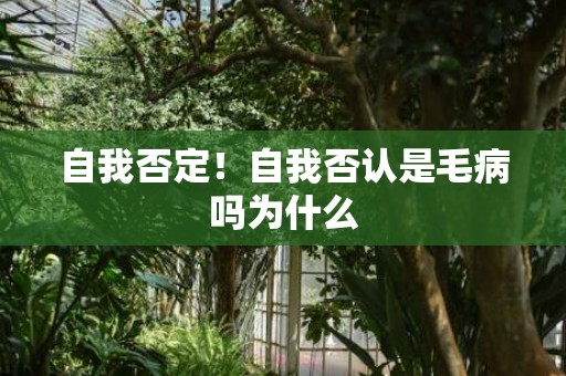 自我否定！自我否认是毛病吗为什么