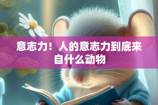 意志力！人的意志力到底来自什么动物
