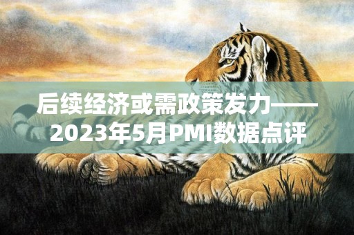 后续经济或需政策发力——2023年5月PMI数据点评