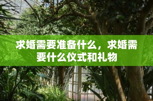 求婚需要准备什么，求婚需要什么仪式和礼物