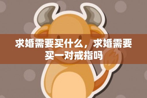 求婚需要买什么，求婚需要买一对戒指吗