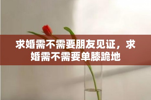 求婚需不需要朋友见证，求婚需不需要单膝跪地