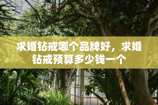 求婚钻戒哪个品牌好，求婚钻戒预算多少钱一个