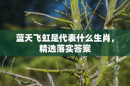 蓝天飞虹是代表什么生肖，精选落实答案