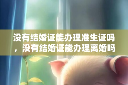 没有结婚证能办理准生证吗，没有结婚证能办理离婚吗