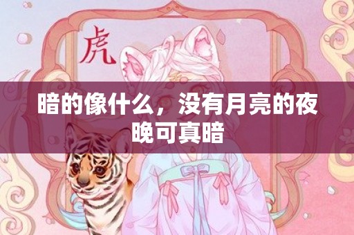 暗的像什么，没有月亮的夜晚可真暗