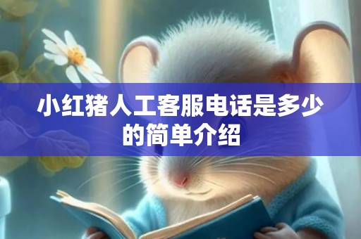 小红猪人工客服电话是多少的简单介绍