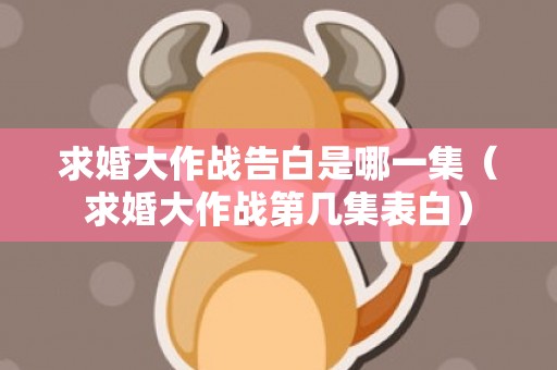 求婚大作战告白是哪一集（求婚大作战第几集表白）