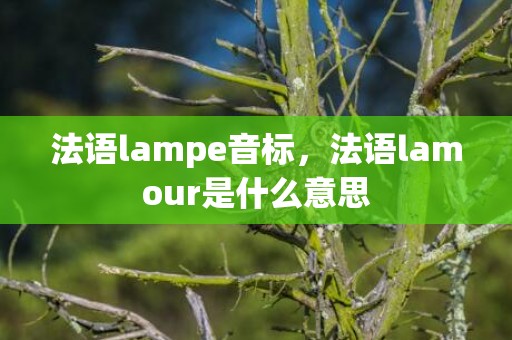法语lampe音标，法语lamour是什么意思