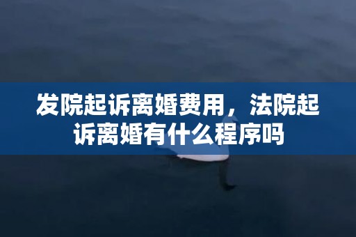 发院起诉离婚费用，法院起诉离婚有什么程序吗