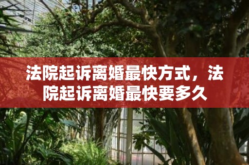 法院起诉离婚最快方式，法院起诉离婚最快要多久