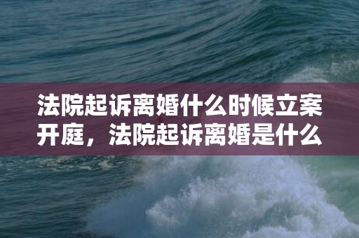 法院起诉离婚什么时候立案开庭，法院起诉离婚是什么程序