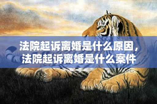 法院起诉离婚是什么原因，法院起诉离婚是什么案件