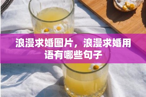 浪漫求婚图片，浪漫求婚用语有哪些句子