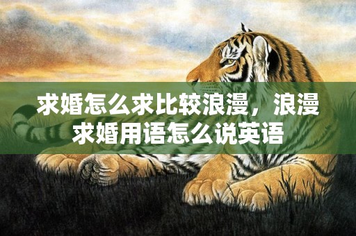 求婚怎么求比较浪漫，浪漫求婚用语怎么说英语