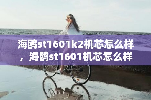 海鸥st1601k2机芯怎么样，海鸥st1601机芯怎么样