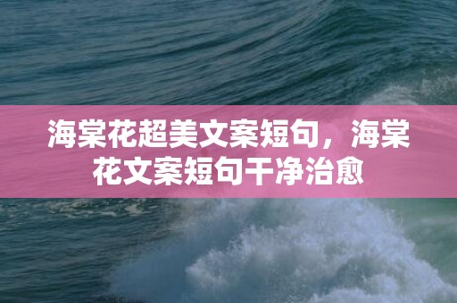 海棠花超美文案短句，海棠花文案短句干净治愈