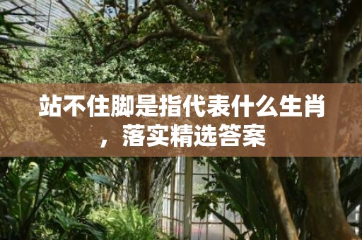 站不住脚是指代表什么生肖，落实精选答案