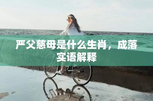 严父慈母是什么生肖，成落实语解释