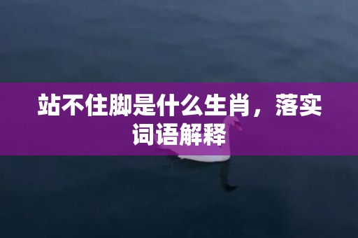 站不住脚是什么生肖，落实词语解释