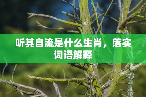 听其自流是什么生肖，落实词语解释