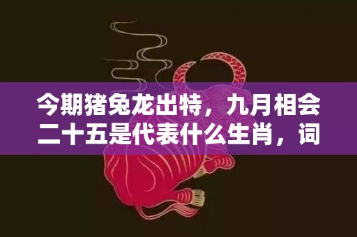 今期猪兔龙出特，九月相会二十五是代表什么生肖，词意释义落实