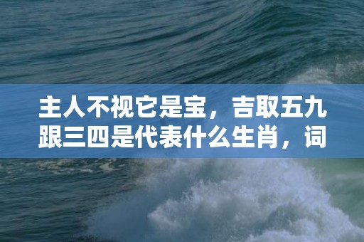 主人不视它是宝，吉取五九跟三四是代表什么生肖，词意释义落实