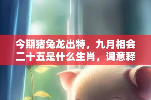 今期猪兔龙出特，九月相会二十五是什么生肖，词意释义落实