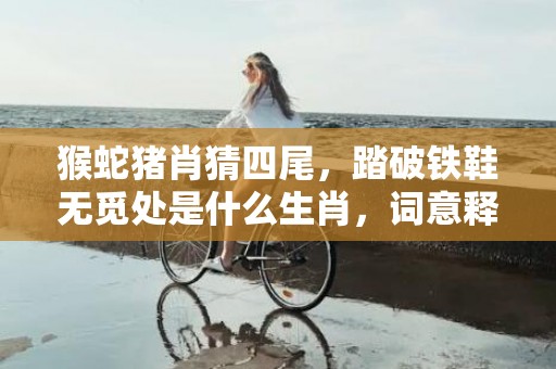 猴蛇猪肖猜四尾，踏破铁鞋无觅处是什么生肖，词意释义落实