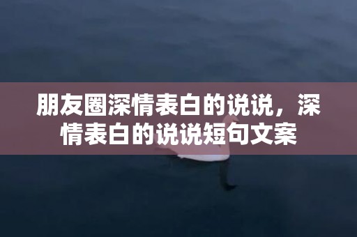 朋友圈深情表白的说说，深情表白的说说短句文案